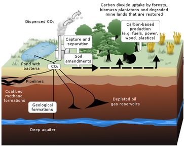 CO2-Abscheidung und -Speicherung