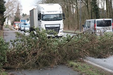 Sturmschäden. Sturm Frederike wütet in Hilden und Haan, Flurstraße Haan. Bild: "obs/Provinzial Rheinland Versicherungen/Staschik,Olaf (ola)"