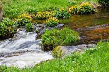 Naturbach, Wasser, Natur (Symbolbild)