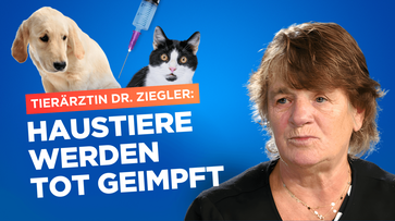 Bild: AUF1 / Eigenes Werk