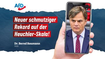 Bild: AfD Deutschland