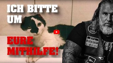 Bild: Screenshot Youtube Video: "OHREN und SCHWÄNZE ABGESCHNITTEN! Ich bitte um Eure Mithilfe!"