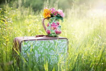 Bild: Bund deutscher Baumschulen (BdB) e.V. Fotograf: Quelle: pixabay
