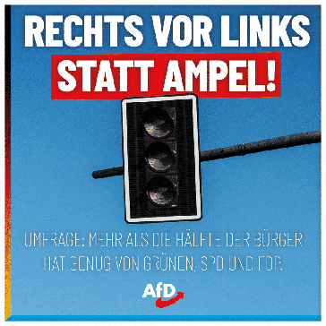 Bild: AfD Deutschland