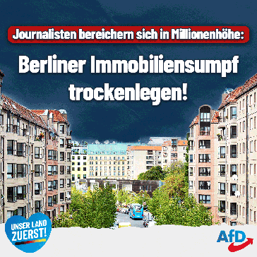 Bild: AfD Deutschland