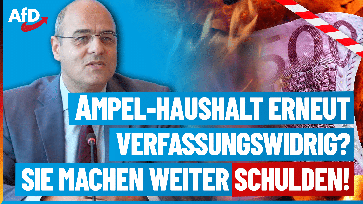 Bild: AfD Deutschland