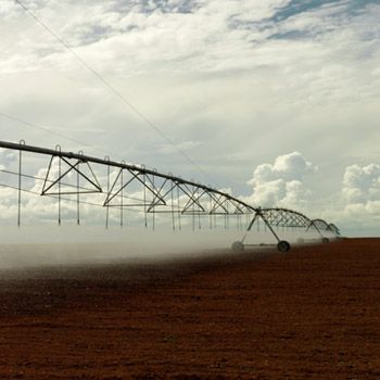 Bewässerung in Brasilien Bild:  © Peter Caton / WWF