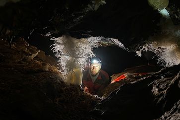 Dirk Steffens ist der siebte Mensch auf Erden, der dieses Naturwunder mit eigenen Augen sehen darf: die größte "Eisenblüte" Europas, ein Aragonitkristall.  Bild: ZDF Fotograf: ZDF/Dirk Steffens