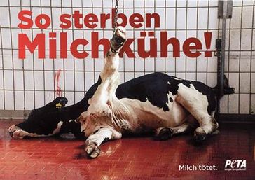PETA-Plakat zum Leiden von Kühen in der Milchindustrie. Bild: PETA
