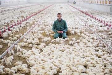 Schon lange quält Dirk Steffens, dass wir Tiere essen, deren Leben viel Leiden bedeutete. Bild: "obs/ZDF/ZDF/Sandra Hoever"