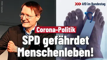 Bild: AfD Deutschland