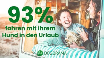 Bild: Dogorama GmbH Fotograf: DisobeyArt