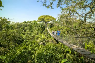 Der Nationalpark Tambopata in der Region Madre de Dios im Südosten Perus Bild: PROMPERÚ Fotograf: PROMPERÚ