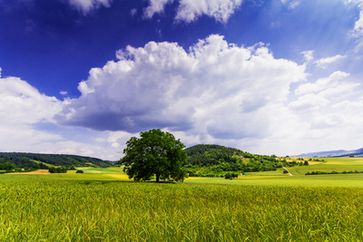 Heimat und Landschaft