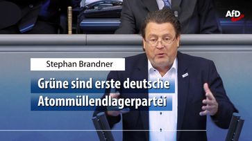 Bild: AfD Deutschland