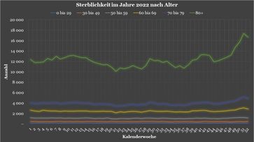 Das ist die Verteilung der Sterblichkeit, der Anzahl der Todesfälle nach Altersgruppen und Kalenderwochen, die wir auf Grundlage der Sonderauswertung berechnet haben.