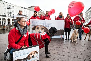 VIER PFOTEN protestiert am Hamburger Rathausmarkt gegen das Töten rumänischer Streunerhunde. Bild: (c) VIER PFOTEN, Fred Dott