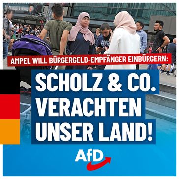 Bild: AfD Deutschland