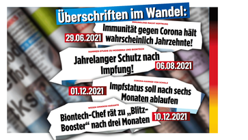 Bild: AfD Deutschland