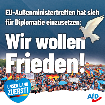 Bild: AfD Deutschland