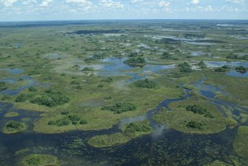 Okavangodelta ist das im Nordwest-Bezirk Botswanas gelegene Binnendelta des Okavangos.