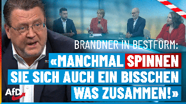 Bild: AfD Deutschland