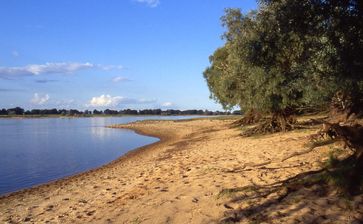 Die Elbe ist ein Sandfluss mit teilweise noch naturbelassenen Ufern (Symbolbild)