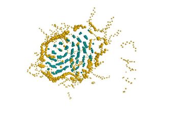 Polymercrystallization
Quelle: (c) Physics an Materials Science Reseach Unit (idw)