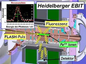 Röntgen-Laserpulse (gelb) regen die in der Elektronenstrahl-Ionenfalle (EBIT) gespeicherten Ionen (grün) zum Leuchten an. Detektoren messen die Fluoreszenzstrahlung (gelbe Wellenpfeile) in Abhängigkeit von der Wellenlänge des Lasers. Die Intensität der Fluoreszenzstrahlung ergibt in Abhängigkeit von der Wellenlänge eine Resonanzkurve (oben links). Auf diese Weise können die Physiker Spektrallinien mit höchster Genauigkeit vermessen. Bild: Max-Planck-Institut für Kernphysik