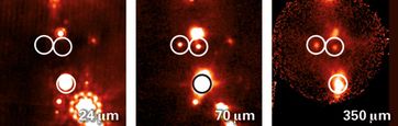 Drei der PACS Bright Red Sources (PBRS), die mit dem Weltraumteleskop Herschel gefunden wurden. Dabei dürfte es sich um einige der jüngsten bekannten Protosterne überhaupt handeln. Das Feld ganz links zeigt ein vom Weltraumteleskop Spitzer (bei 24 µm) aufgenommenes Bild, in welchem die beiden oberen Objekte vollständig unsichtbar sind, während das untere sich nicht eindeutig als Protostern identifizieren lässt. Die beiden rechten Felder zeigen Bilder vom Weltraumteleskop Herschel (bei 70 µm) und vom Submillimeterteleskop APEX (bei 350 µm), mit denen nachgewiesen werden konnte, dass es sich in der Tat um einige der jüngsten bekannten Protosterne handelt.
Quelle: Bild: A. M. Stutz (MPIA) (idw)