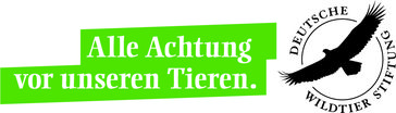 Deutsche Wildtier Stiftung