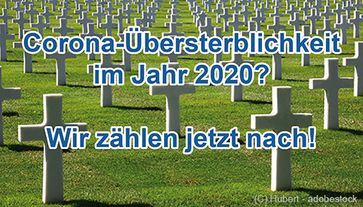 Bild: Impfkritik.de / Hubert - adobestock