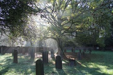 Friedhof: Recyclingcenter für nicht mehr benötigte Körper. Das Bewußtsein lebt weiter. (Symbolbild)