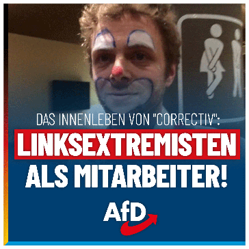 Bild: AfD Deutschland