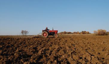 Kosovo: Die Mehrheit der Erwerbstätigen arbeitet in der Landwirtschaft.