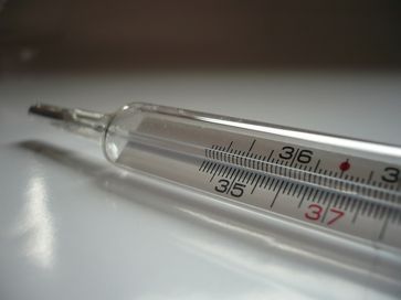 Fieberthermometer