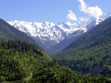 Georgien: Waldgebiete im Kaukasus, Region Swanetien