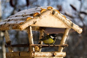 Bild: Zentralverband Zoologischer Fachbetriebe Deutschlands e.V. (ZZF) (ots)