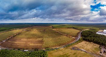 Tesla Gigafactory Berlin-Brandenburg in Grünheide (links Berliner Ring, rechts Gewerbegebiet), (2020)