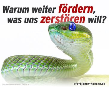 Bild: Screenshot Internetseite: "https://afd-bjoern-hoecke.de" / Eigenes Werk