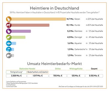 Im Jahr 2019 gaben die Deutschen 5,2 Milliarden Euro für ihre Heimtiere aus.