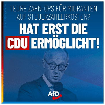 Bild: AfD Deutschland