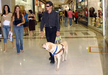 Blinder Mann mit seinem Blindenführhund