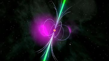 Ein Gammapulsar ist ein kompakter Neutronenstern, der in seinem extrem starken Magnetfeld geladene Teilchen auf relativistische Geschwindigkeiten beschleunigt. Dabei entsteht unter anderem Gammastrahlung (violett) weit über der Oberfläche des kompakten Sternrests, während Radiowellen (grün) kegelförmig über den Magnetpolen ausgesendet werden. Die Rotation schwenkt die Abstrahlungsgebiete über die irdische Sichtlinie und lässt den Pulsar so periodisch am Himmel aufleuchten.
Quelle: NASA/Fermi/Cruz de Wilde (idw)