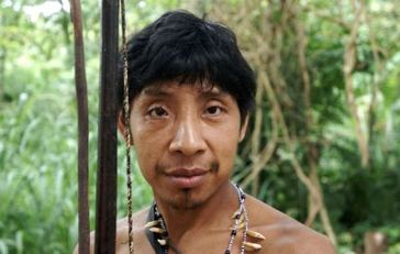 Die Awá haben Angst im Wald nach Nahrung zu suchen, weil sie Angriffe der Holzfäller fürchten. Bild: Survival