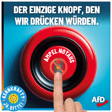 Bild: AfD Deutschland