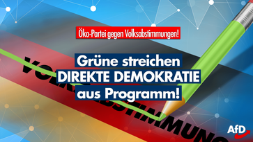 Bild: AfD Deutschland