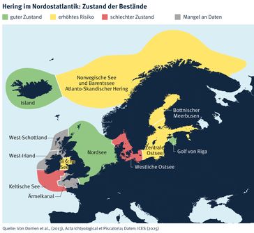 Bild: Marine Stewardship Council (MSC) Fotograf: Marine Stewardship Council (MSC)