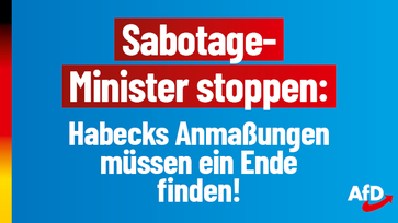 Bild: AfD Deutschland