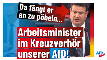 Bild: AfD Deutschland